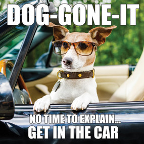 Dog-Gone-It by Willow Creek Press, 9781682348628