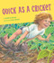 Quick as a Cricket (big book) by Audrey Wood, Don Wood, 9780358450399