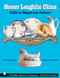Homer Laughlin China (Guide to Shapes and Patterns) by Jo Cunningham, 9780764314834