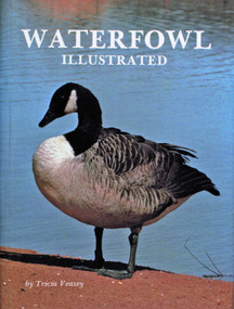 Waterfowl Illustrated by Tricia Veasey, 9780916838898