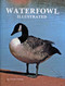 Waterfowl Illustrated by Tricia Veasey, 9780916838898