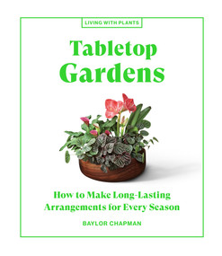 Tabletop Gardens (How to Make Long-Lasting Arrangements for Every Season) by Baylor Chapman, 9781648290336