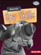 Secret Spy Skills by Christy Peterson, 9781728423753