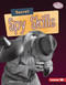 Secret Spy Skills - 9781728404264 by Christy Peterson, 9781728404264