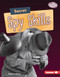 Secret Spy Skills - 9781728404264 by Christy Peterson, 9781728404264