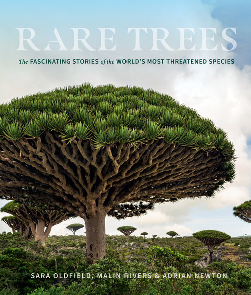 Rare Trees (The Fascinating Stories of the World's Most Threatened Species) by Sara Oldfield, Malin Rivers, Adrian Newton, 9781604699524