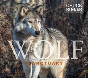 Wolf Sanctuary (The Wolves of Speedwell Forge) by Chuck Rineer, 9780764354908