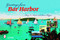 Greetings from Bar Harbor by Mary L. Martin, 9780764329753