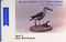 Blue Ribbon Pattern Series (Shore Bird Patterns) by William Veasey, 9780916838881