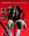 Ironwork: Dynamic Details (Dynamic Details) by Dona Z. Meilach, 9780764325496