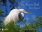 New Jersey Birds and Beyond by Susan Puder, 9780764340215