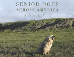 Senior Dogs Across America (Portraits of Man's Best Old Friend) by Nancy LeVine, 9780764351112