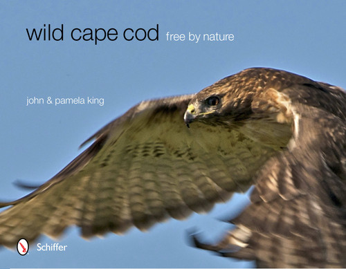 Wild Cape Cod (Free by Nature) by John & Pamela King, 9780764341977