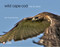 Wild Cape Cod (Free by Nature) by John & Pamela King, 9780764341977