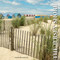 The Jersey Shore (A Keepsake) by Antelo Devereux, 9780764355769