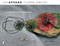 Flower Jewelry (A Step-By-Step Workshop) by Ani Afshar, 9780764328558