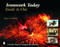 Ironwork Today: Inside & Out (Inside & Out) by Dona Z. Meilach, 9780764323904