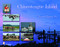 Chincoteague Island by James Tigner, Jr., 9780764329197