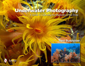 Underwater Photography (A Guide to Capturing the Mysteries of the Deep) by Trent Burkholder, 9780764342349