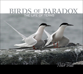 Birds of Paradox (The Life of Terns) by Peter Trull, 9780764357640