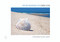 Four Seasons of Cape Cod by John Tunney, 9780764349935