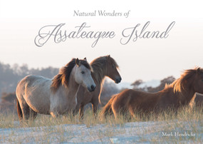 Natural Wonders of Assateague Island by Mark Hendricks, 9780764353406