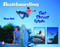 Skateboarding (Past-Present-Future) by Rhyn Noll, 9780764318450