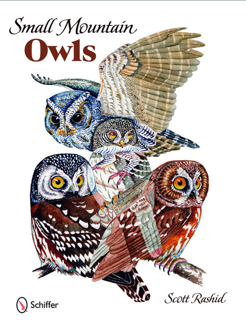 Small Mountain Owls by Scott Rashid, 9780764332821