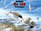 Heinkel He 162 by Heinz J. Nowarra, 9780887404788