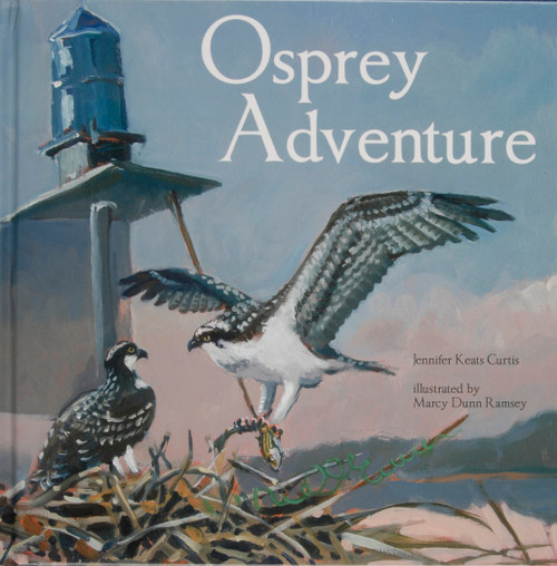 Osprey Adventure - 9780764336843 by Jennifer Keats Curtis, 9780764336843