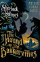 The Hound of the Baskervilles (Illustrated by David Mackintosh) - 9781847494962 by Sir Arthur Conan Doyle, David Mackintosh, 9781847494962