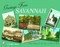 Greetings From Savannah by Tina Skinner, 9780764324444