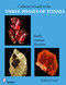 Collector's Guide to the Three Phases of Titania (Rutile, Anatase, and Brookite) by Robert J. Lauf, 9780764332685