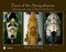 Faces of the Susquehanna (A Photographic Study of Natural Reflections) by Stephen W. Pidcock, 9780764339318