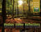 Hudson Valley Reflections (Illustrated Travel and Field Guide) by Michael Adamovic, 9780764353468