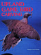 Upland Game Bird Carving by Rosalyn Daisey, 9780887403491