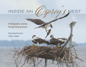 Inside an Osprey's Nest (A Photographic Journey through Nesting Season) by Teena Ruark Gorrow, Craig Koppie, 9780764352003