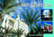 Miami Beach Postcards by Schiffer Publishing, Ltd., 9780764323065