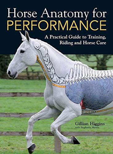 Horse Anatomy For Performance (A Practical Guide to Training, Riding and Horse Care) by Gillian Higgins, 9781446300961