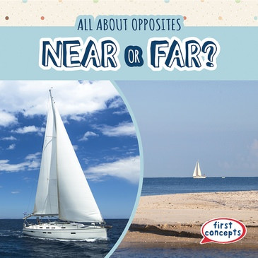Near or Far? by Rory McDonnell, 9781538237328
