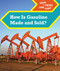 How Is Gasoline Made and Sold? by Derek Miller, 9781502650344