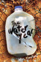 The Water Year by Max Howard, 9781538385128
