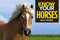 Know Your Horses by Jack Byard, 9781912158492