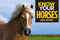 Know Your Horses by Jack Byard, 9781912158492