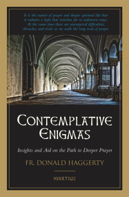Contemplative Enigmas (Insights and Aid on the Path to Deeper Prayer) by Donald Haggerty, 9781621643432