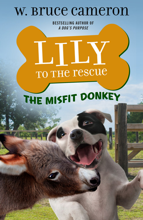Lily to the Rescue: The Misfit Donkey - 9781250762689 by W. Bruce Cameron, James Bernardin, 9781250762689