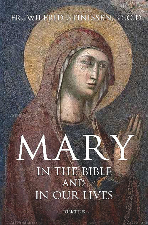 Mary in the Bible and in Our Lives by Fr. Wilfrid Stinissenn, 9781621641872
