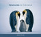 Penguins in the Wild - 9780262019606 by David Tipling, 9780262019606