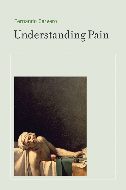 Understanding Pain (Exploring the Perception of Pain) by Fernando Cervero, 9780262526067