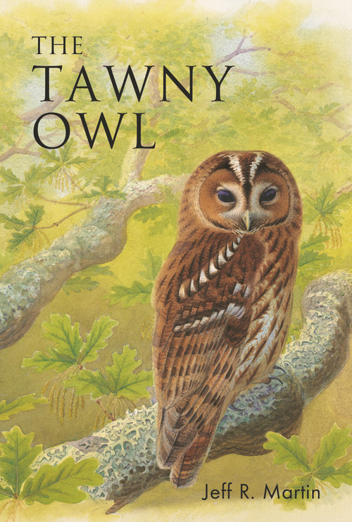 The Tawny Owl - 9781472980694 by Jeff Martin, 9781472980694